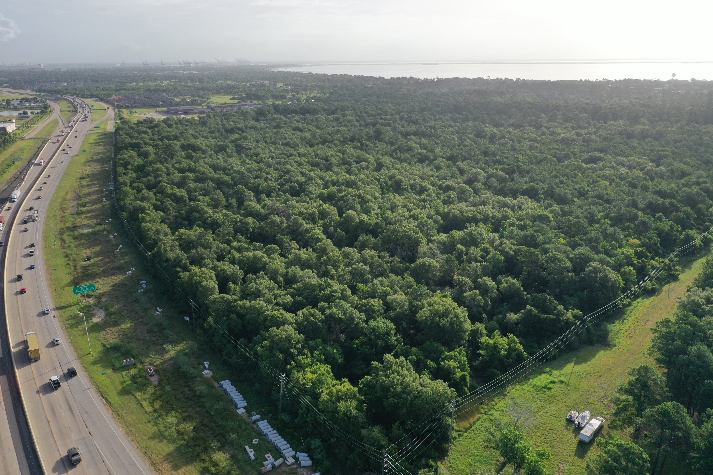 Aerial Image of an Undeveloped Forest