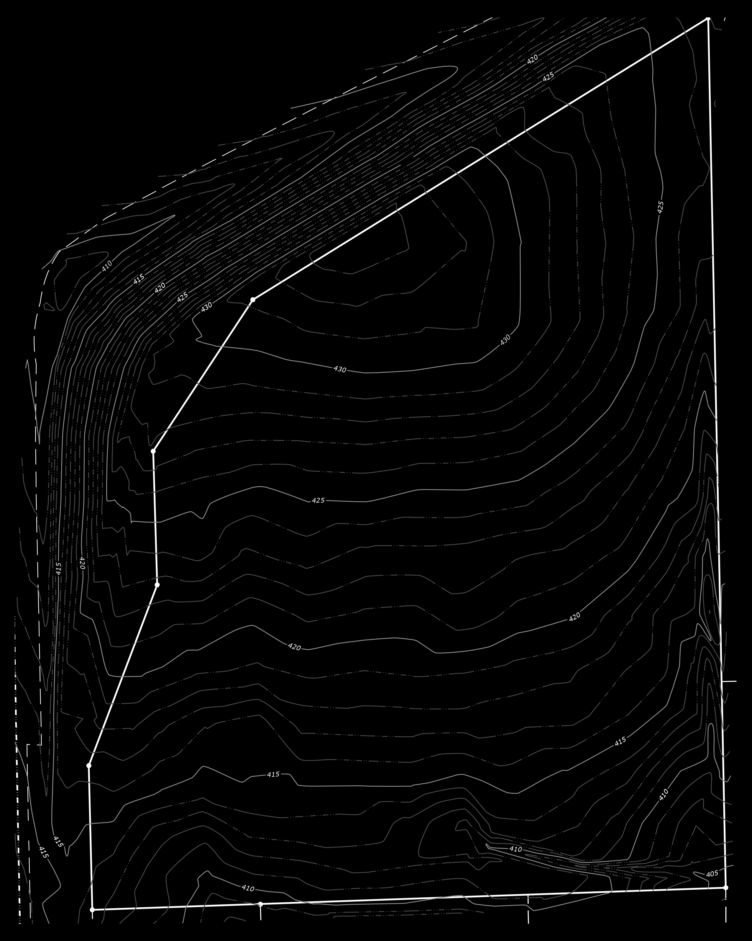 Image of a Topographic Survey Plat